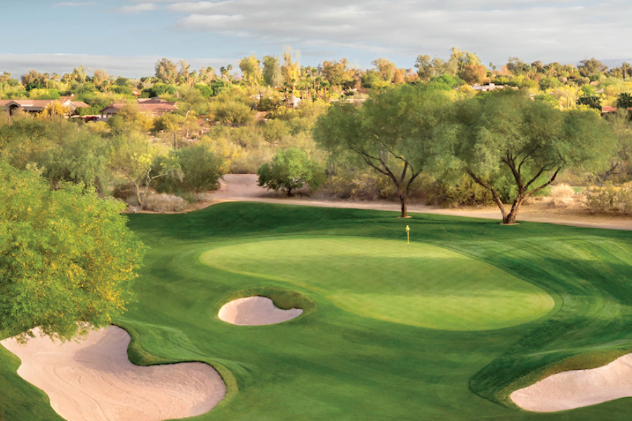 2015 August Grayhawk
